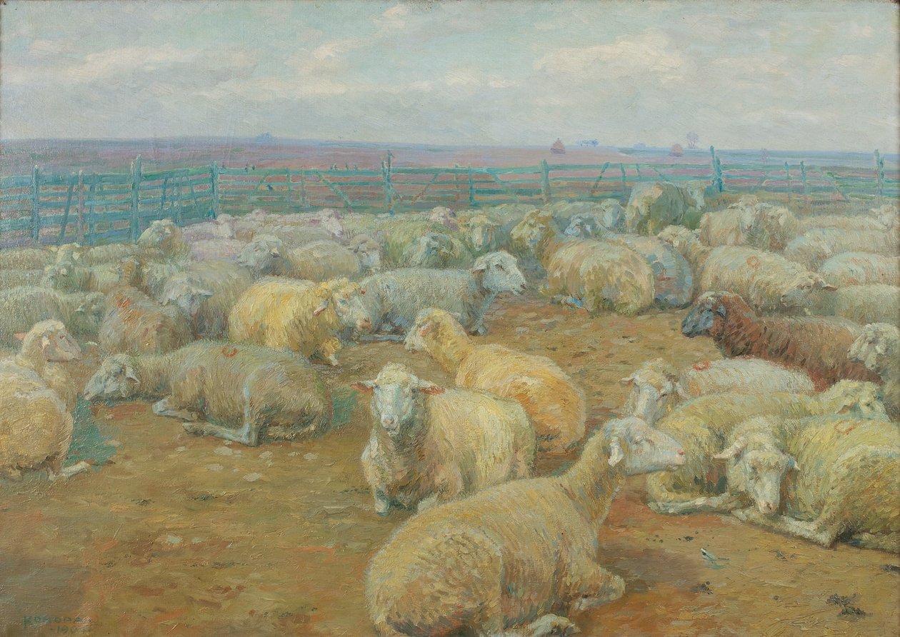 Schafpark von Rudolf Konopa