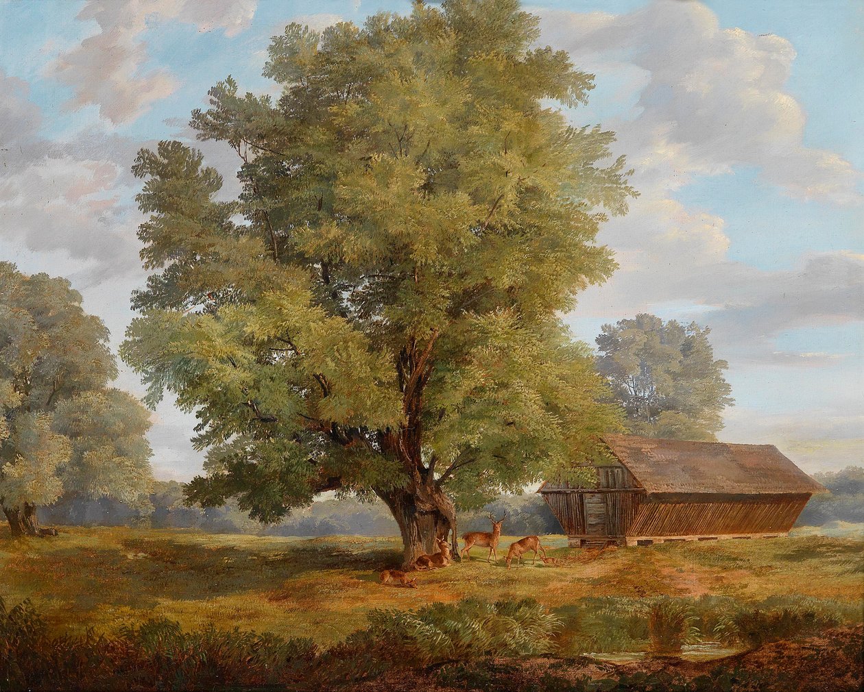 Hirsche in der Praterau von Rudolf Swoboda