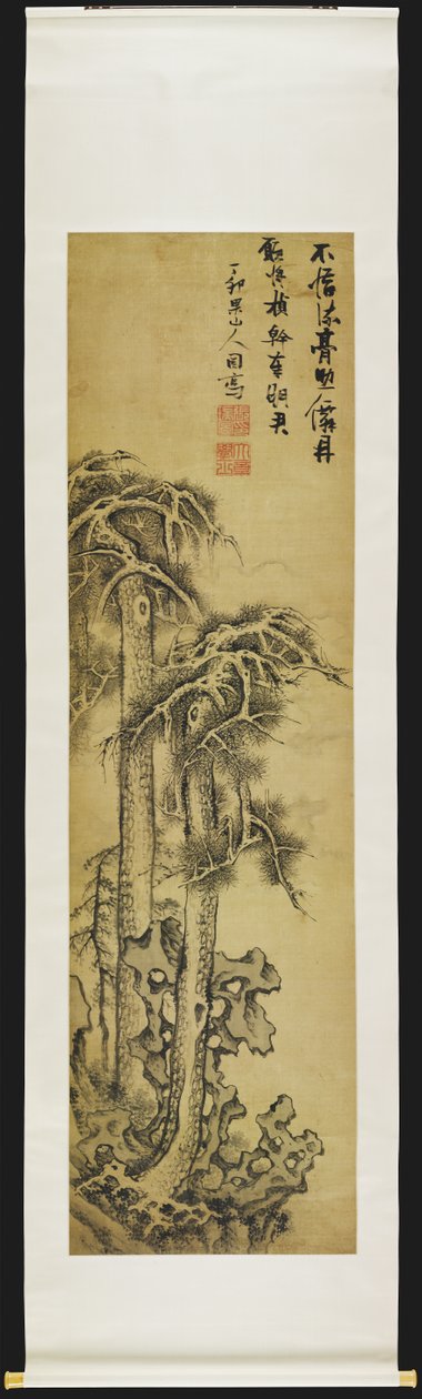 Kiefern in der Landschaft von Ruitu Zhang