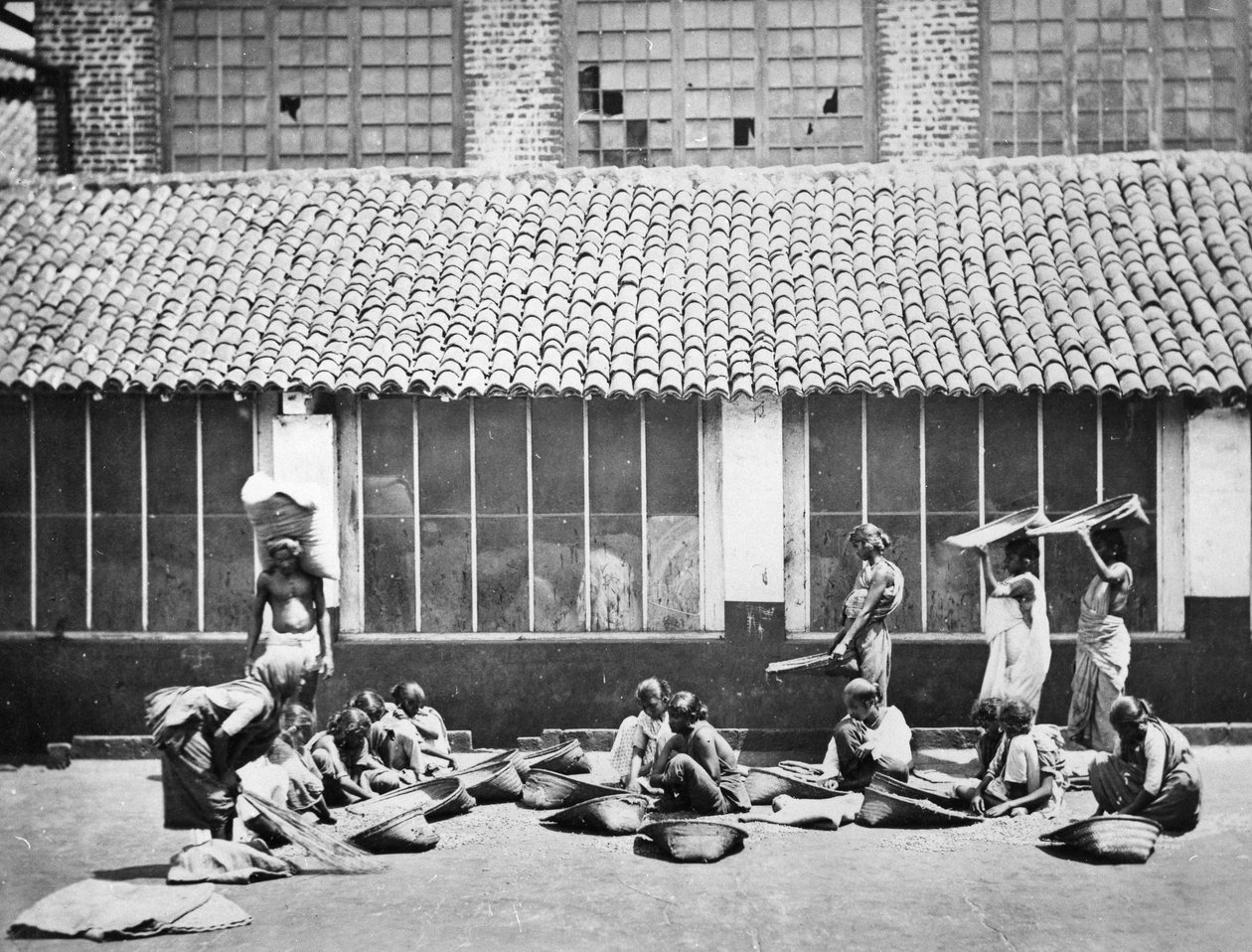 Reinigung und Sortierung von Kaffee, Colombo, 1870 von S. and Shepherd, C. Bourne