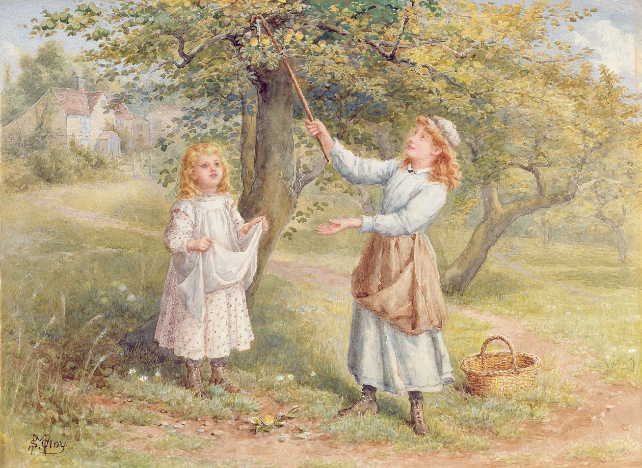 Äpfel pflücken von Samuel McCloy