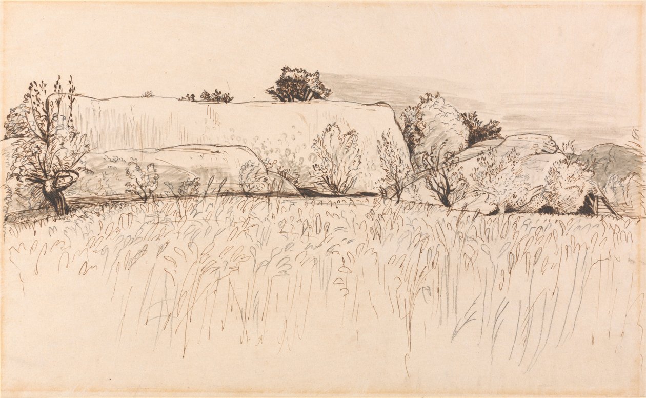 Kornfelder mit Scheune, Shoreham von Samuel Palmer