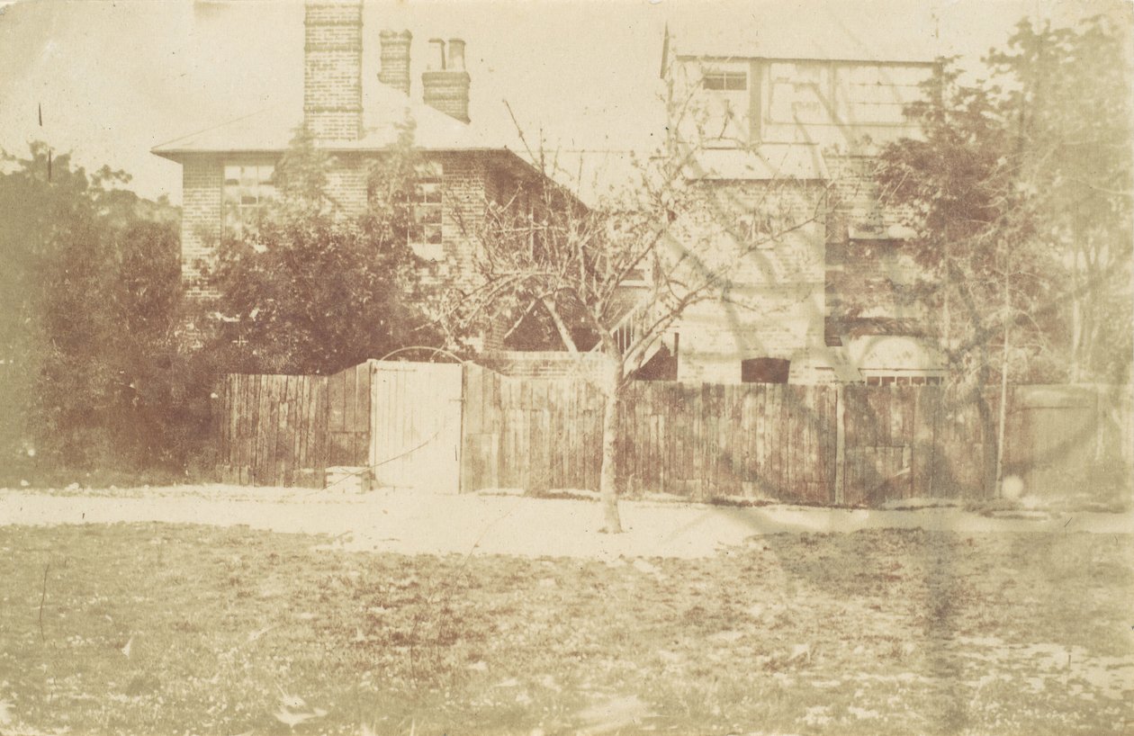 Baum im Hof von Samuel Buckle