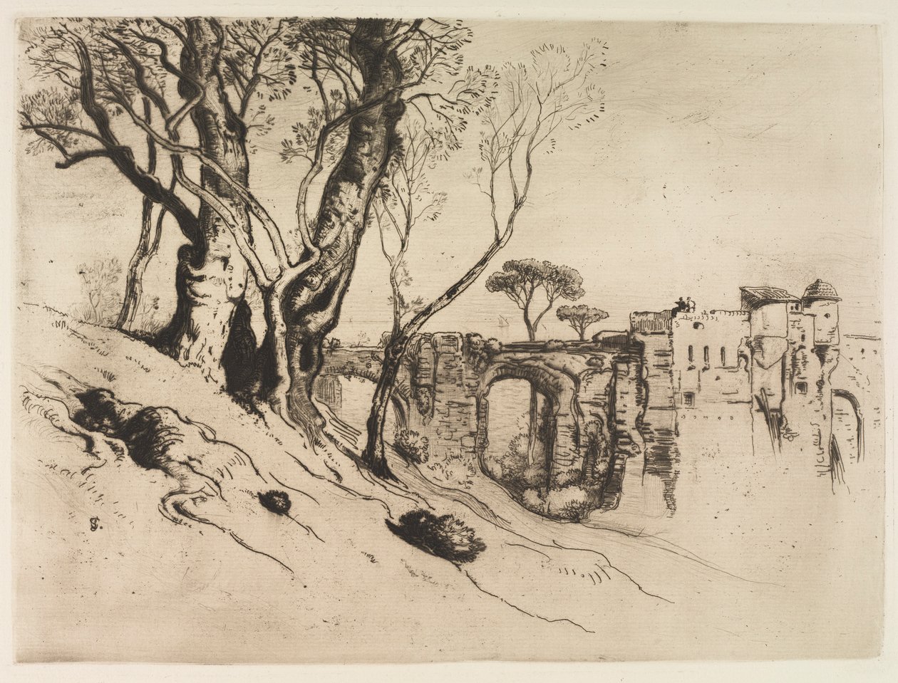 Olivenbäume der Riviera von Samuel Colman