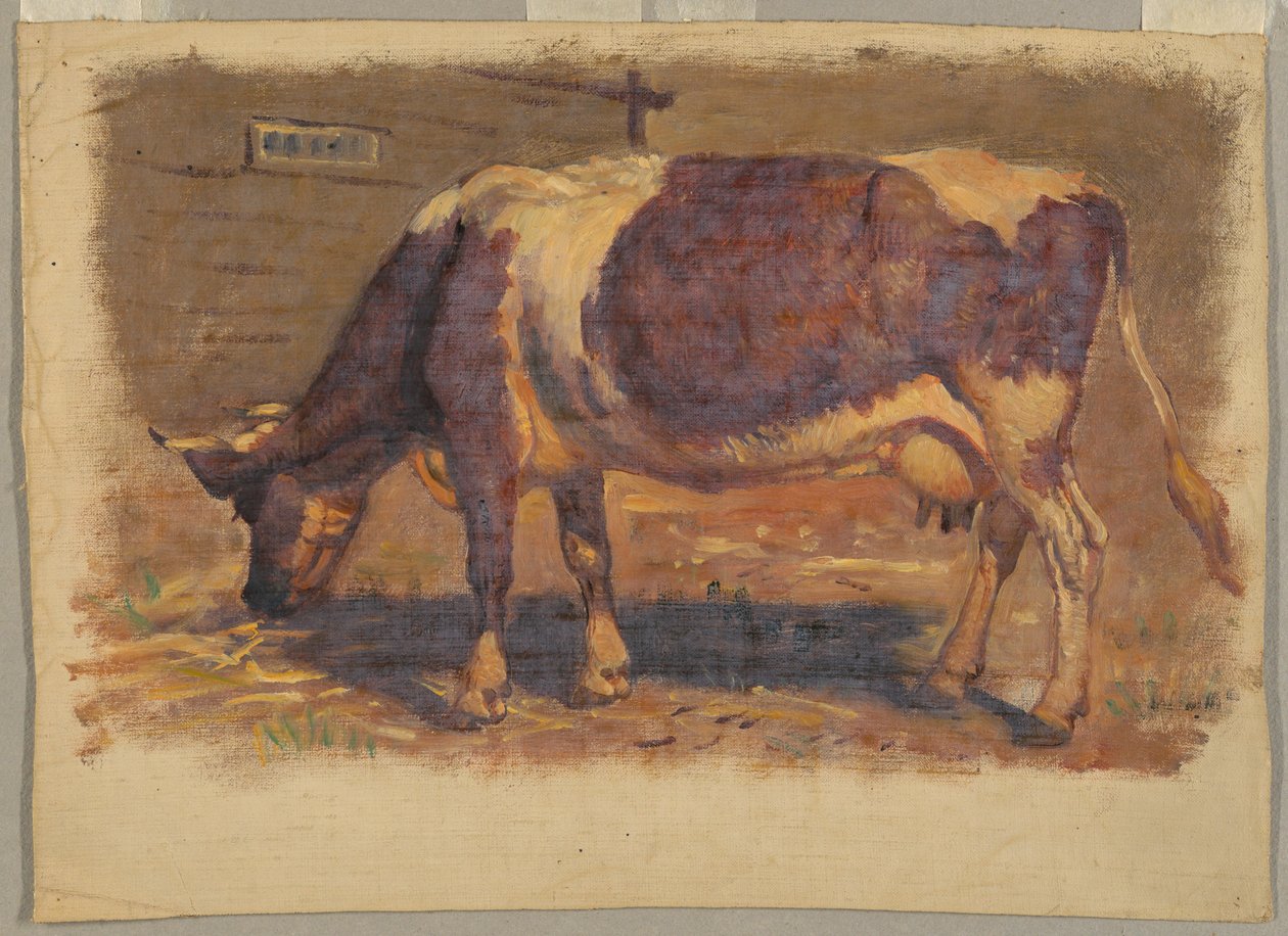 Studie einer grasenden Kuh von Samuel Colman