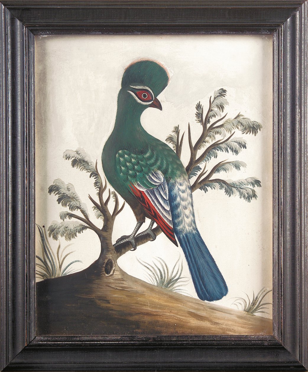 Turako, ca. 1750 von Samuel Dixon