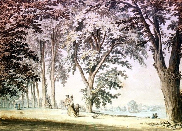 Bäume an der Themse gegenüber von Hammersmith von Samuel Hieronymous Grimm