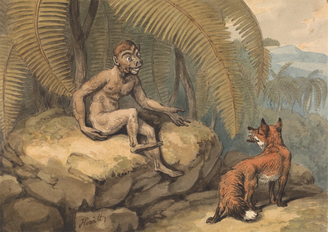 Ein Affe und ein Fuchs von Samuel Howitt