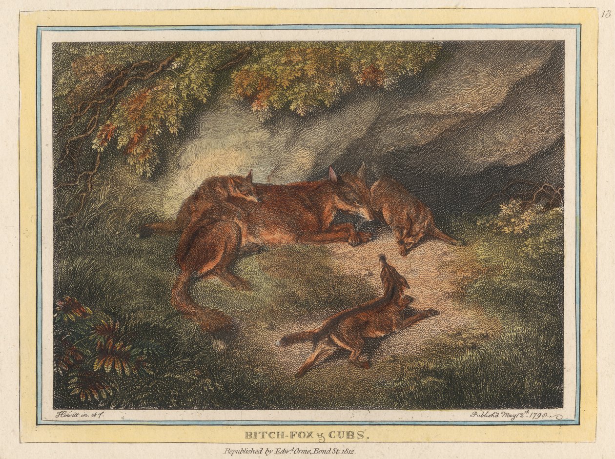 Füchsin und Welpen von Samuel Howitt