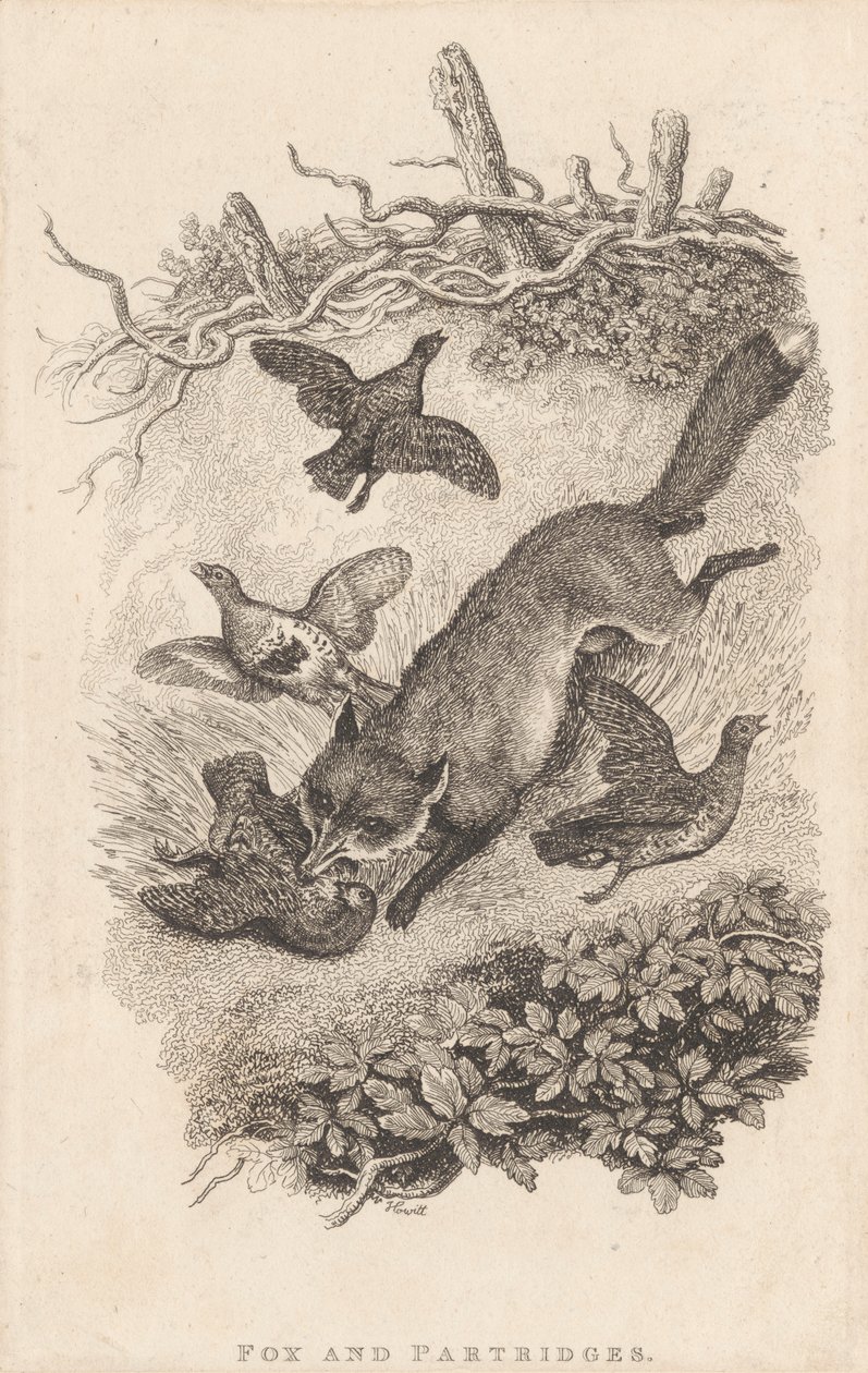 Fuchs und Rebhühner von Samuel Howitt