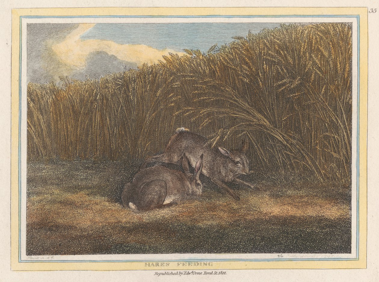Hasen beim Fressen von Samuel Howitt