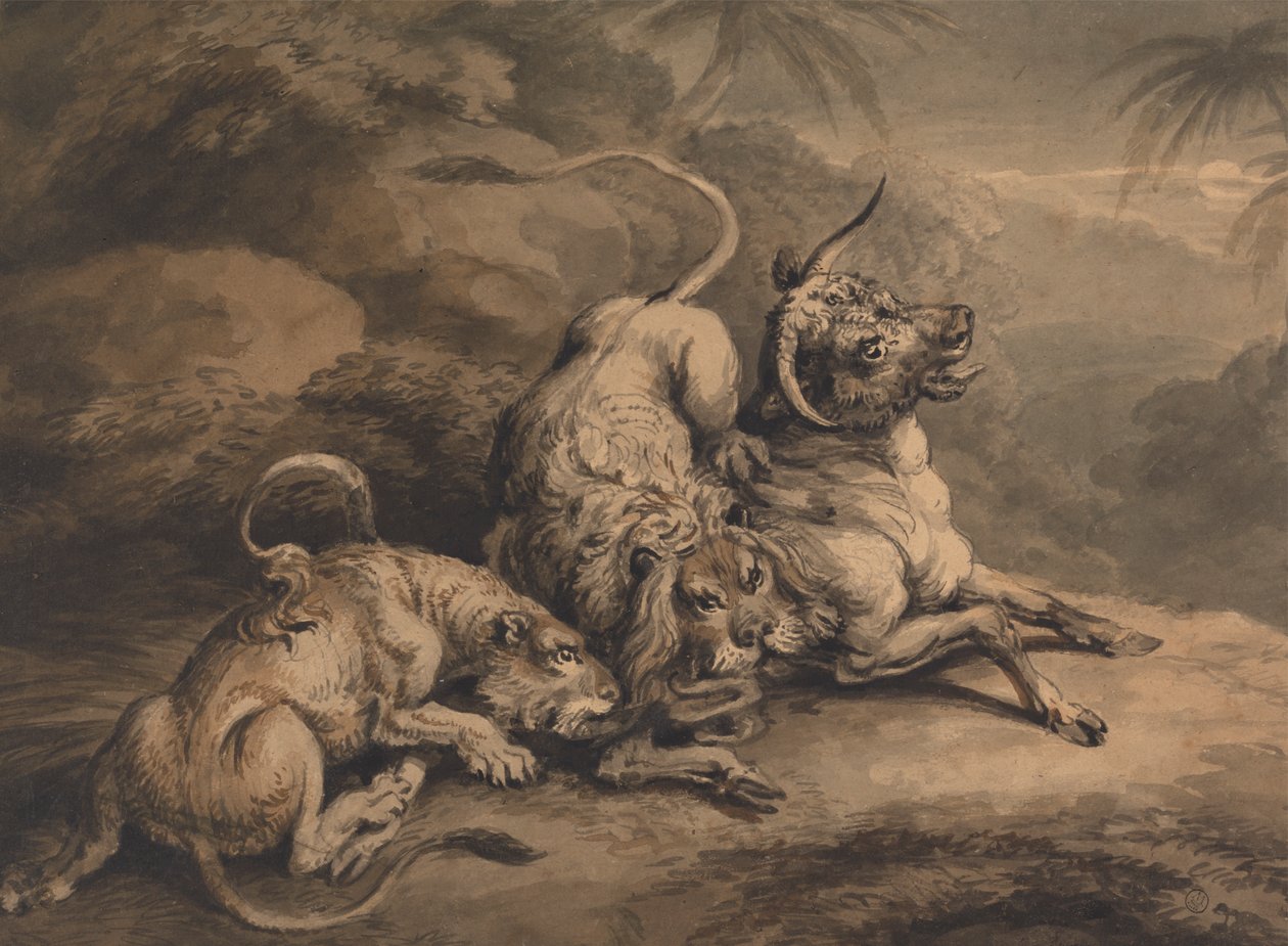 Löwe und Löwin greifen einen Ochsen an von Samuel Howitt