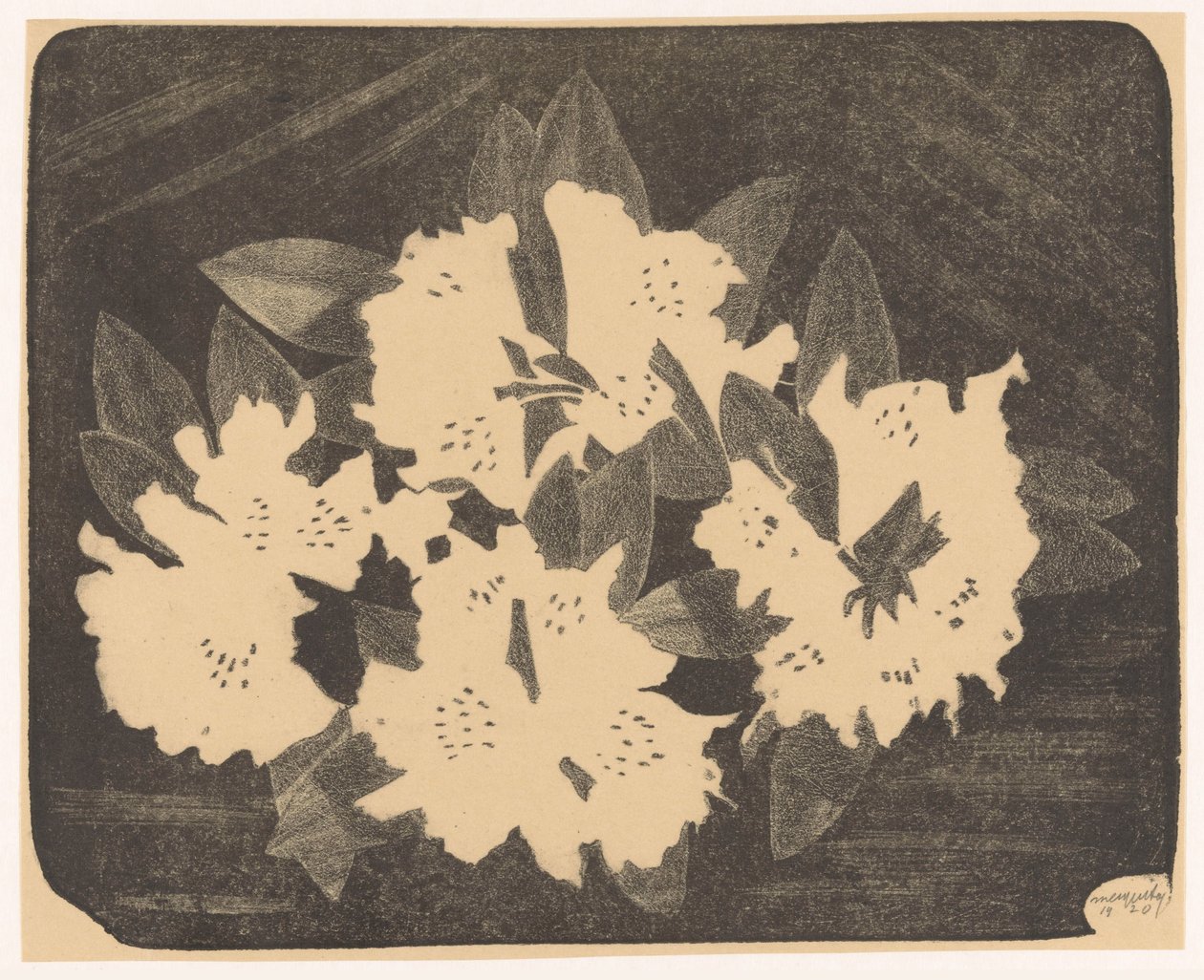 Rhododendron von Samuel Jessurun de Mesquita (signed by artist)