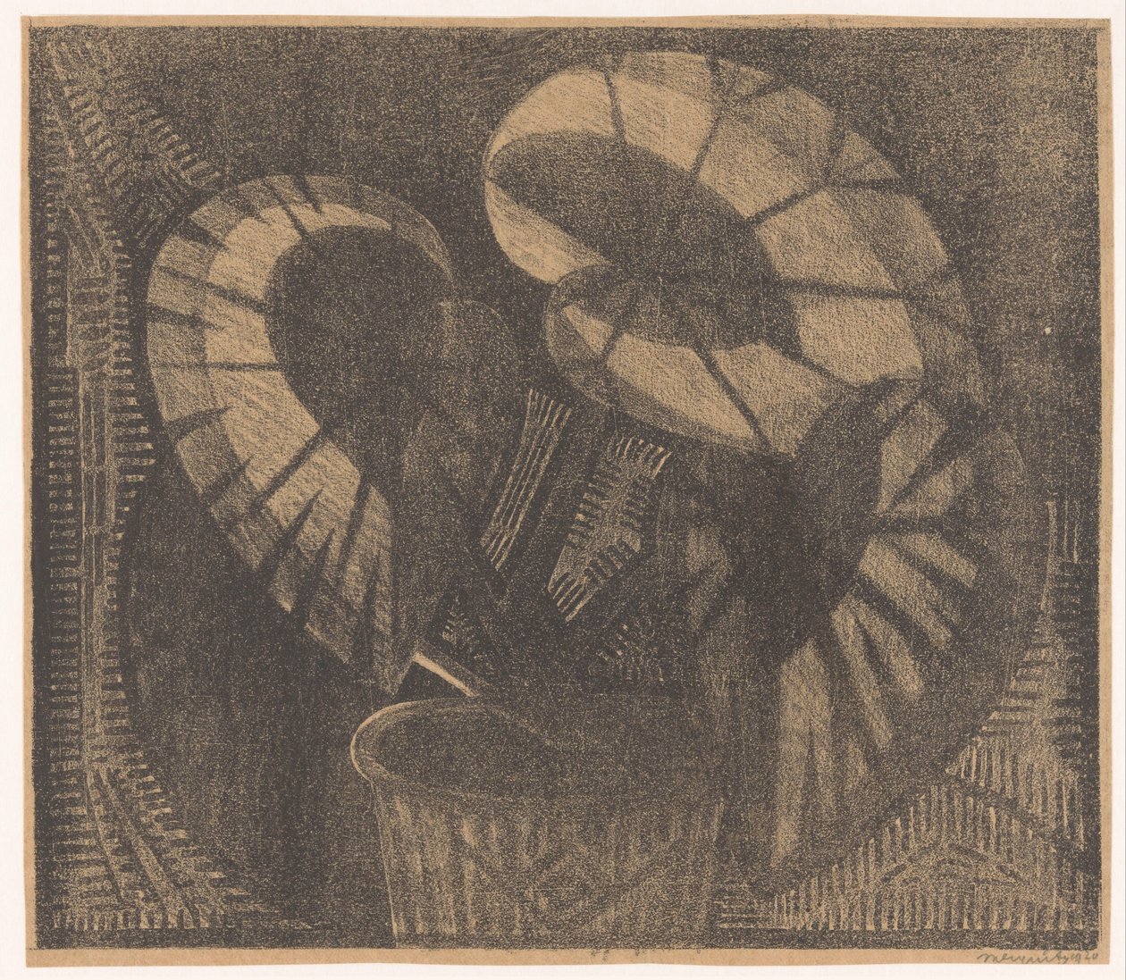 Blattbegonie von Samuel Jessurun de Mesquita