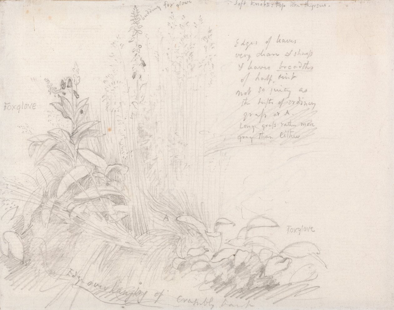 Fingerhüte von Samuel Palmer