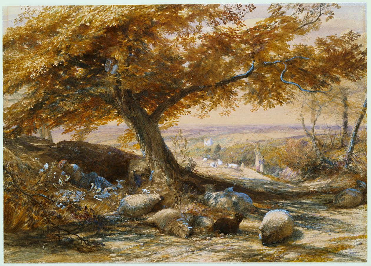Schafe im Schatten, ca. 1851 von Samuel Palmer