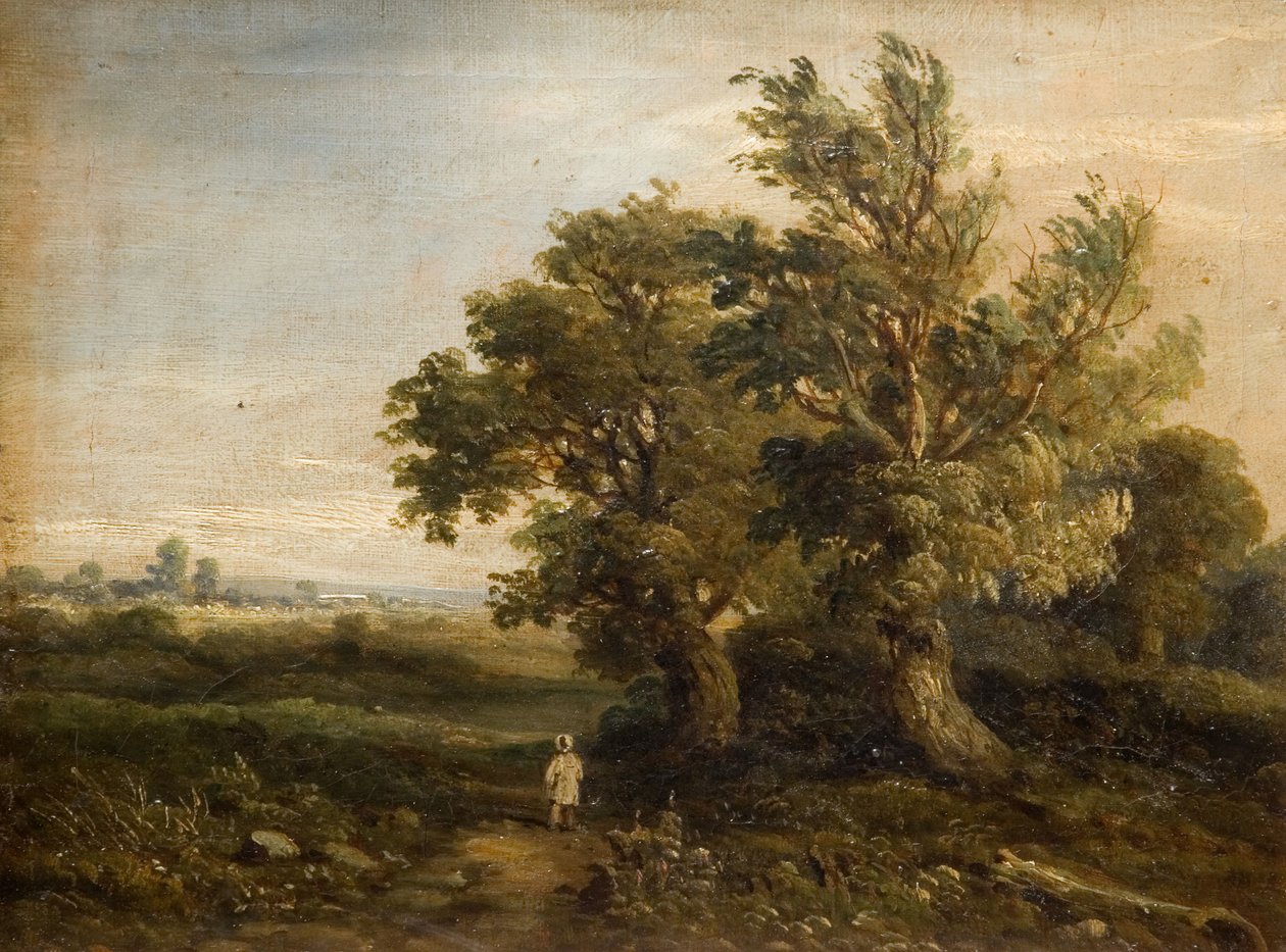 Landschaft mit Bäumen von Samuel Restell Lines