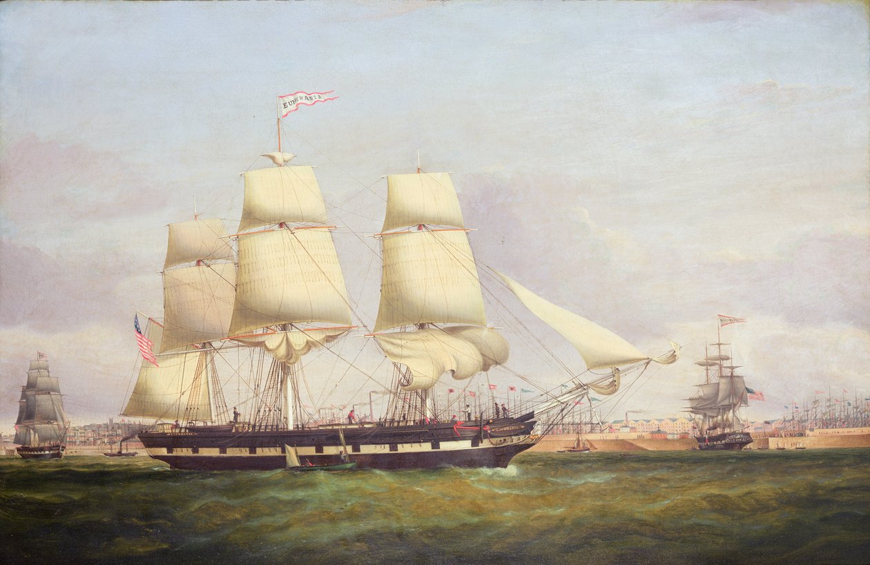 Euphrasia von Samuel Walters