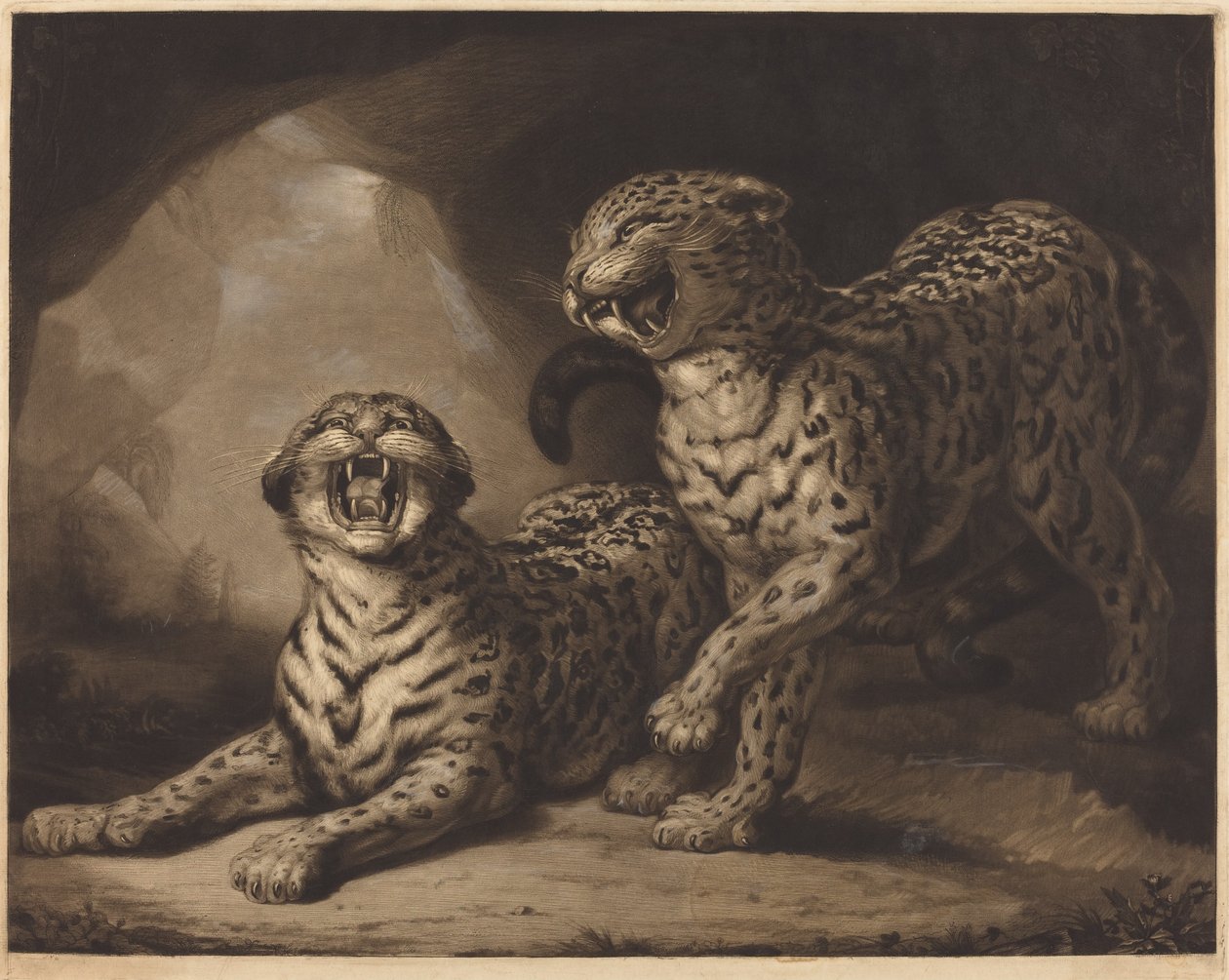 Leoparden von Samuel William Reynolds I after James Northcote