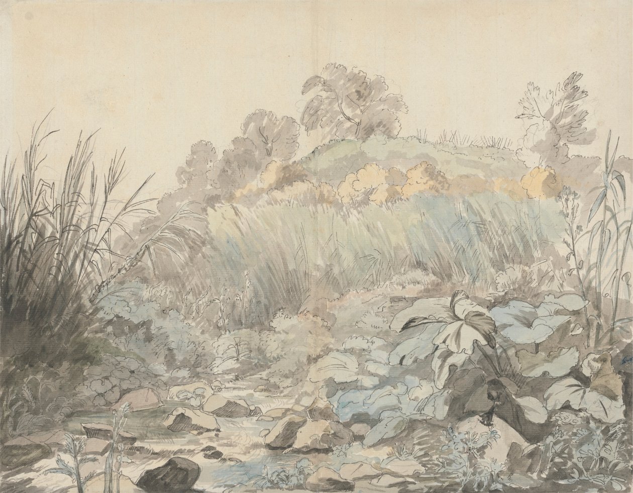 Ein felsiger Bach von Samuel Woodforde