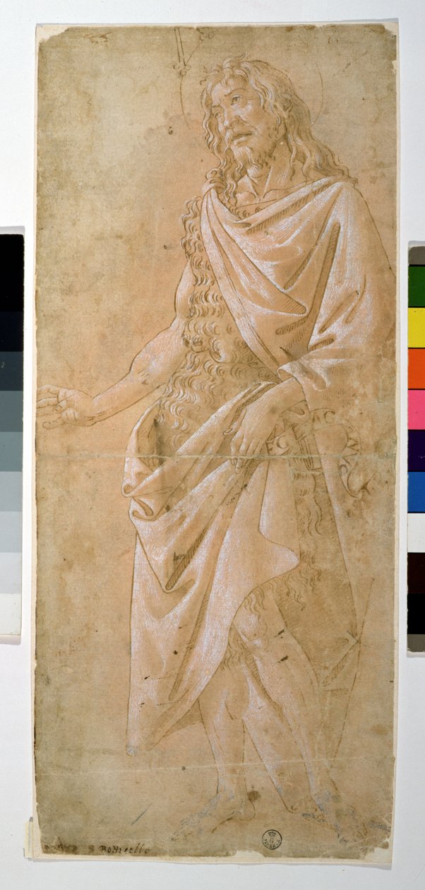 Studie von Johannes dem Täufer von Sandro Botticelli