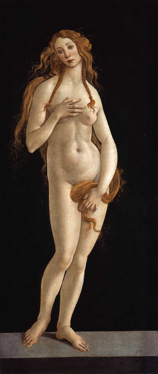 Venus von Sandro Botticelli