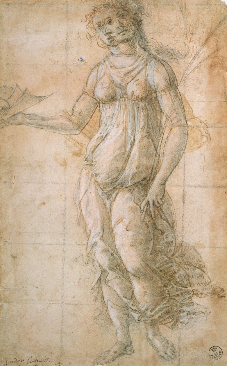 Studie von Athene von Sandro Botticelli