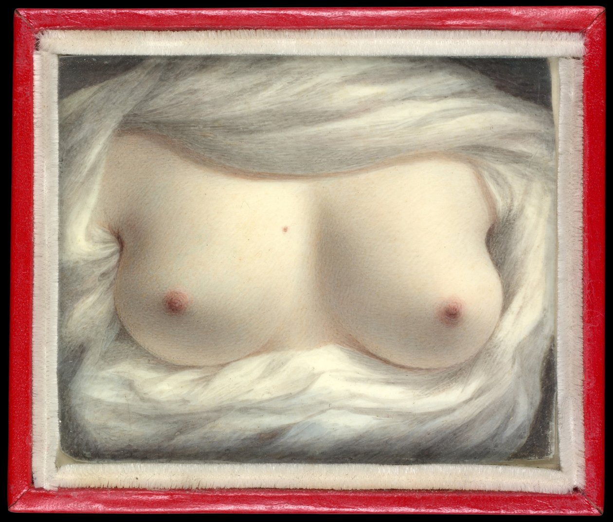 Enthüllte Schönheit von Sarah Goodridge