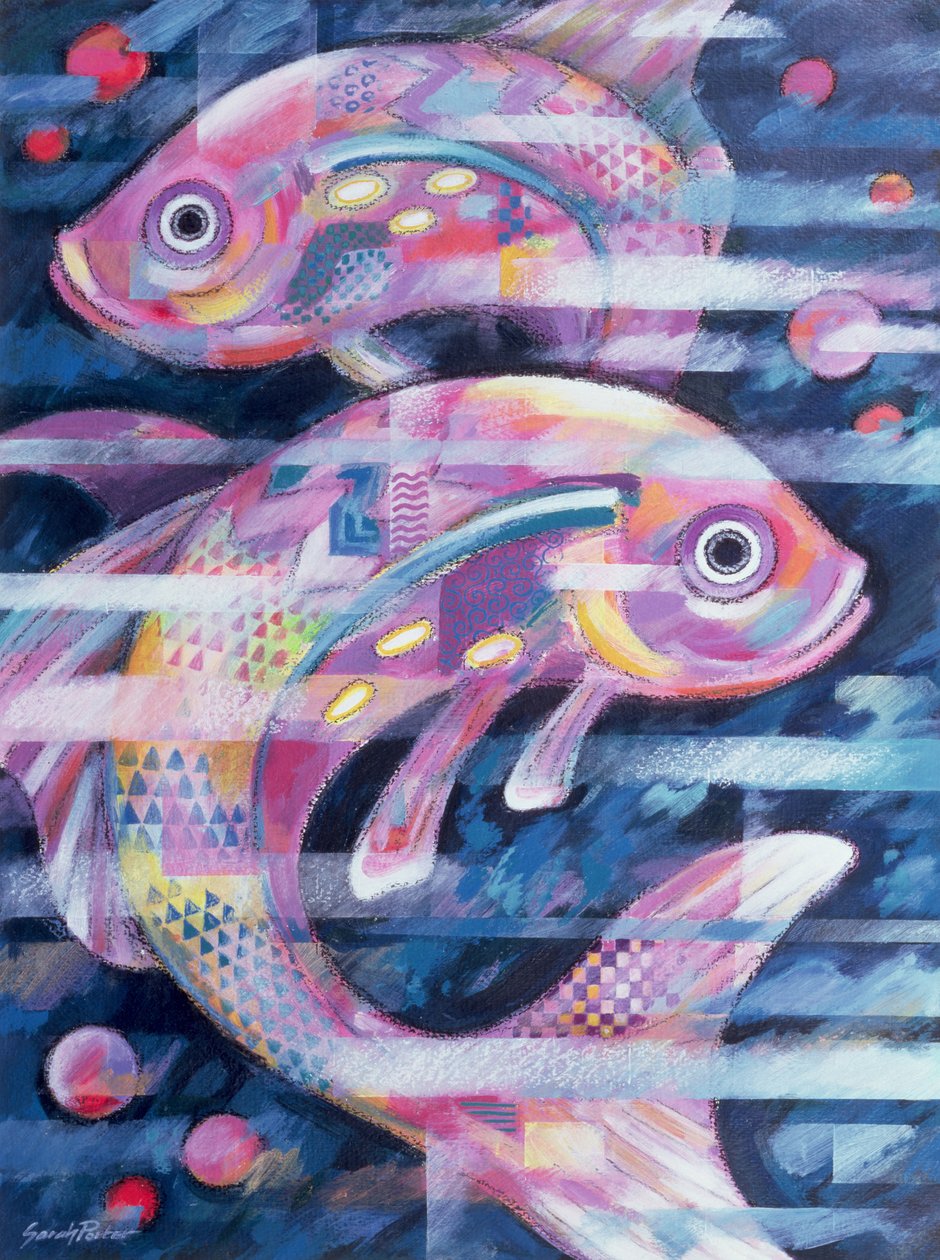 Fischstrom von Sarah Porter