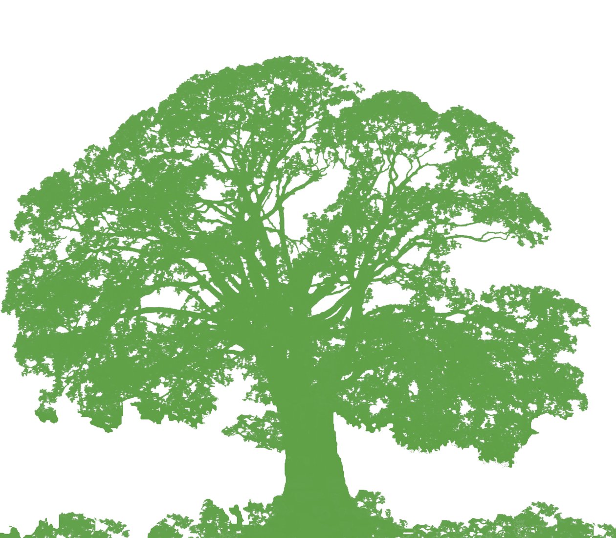 Kletterbaum, 2009 von Sarah Hough