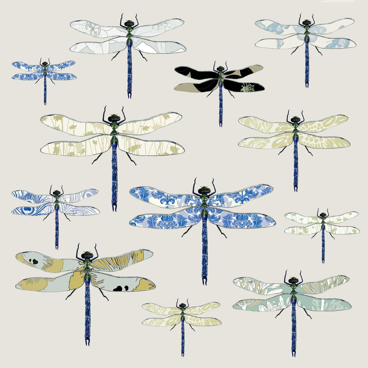 Odonata, 2008 von Sarah Hough