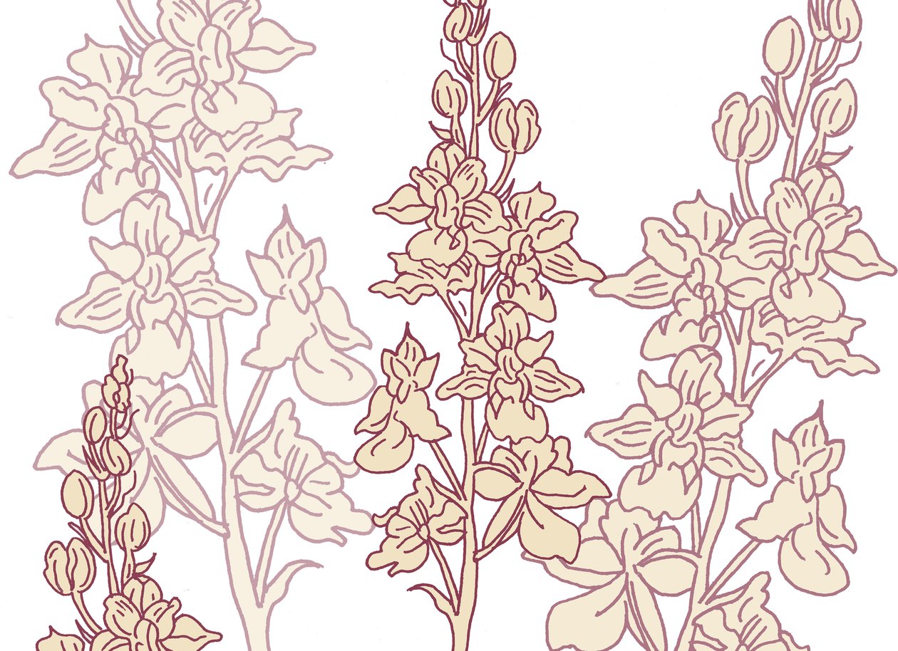 Orchidee von Sarah Hough