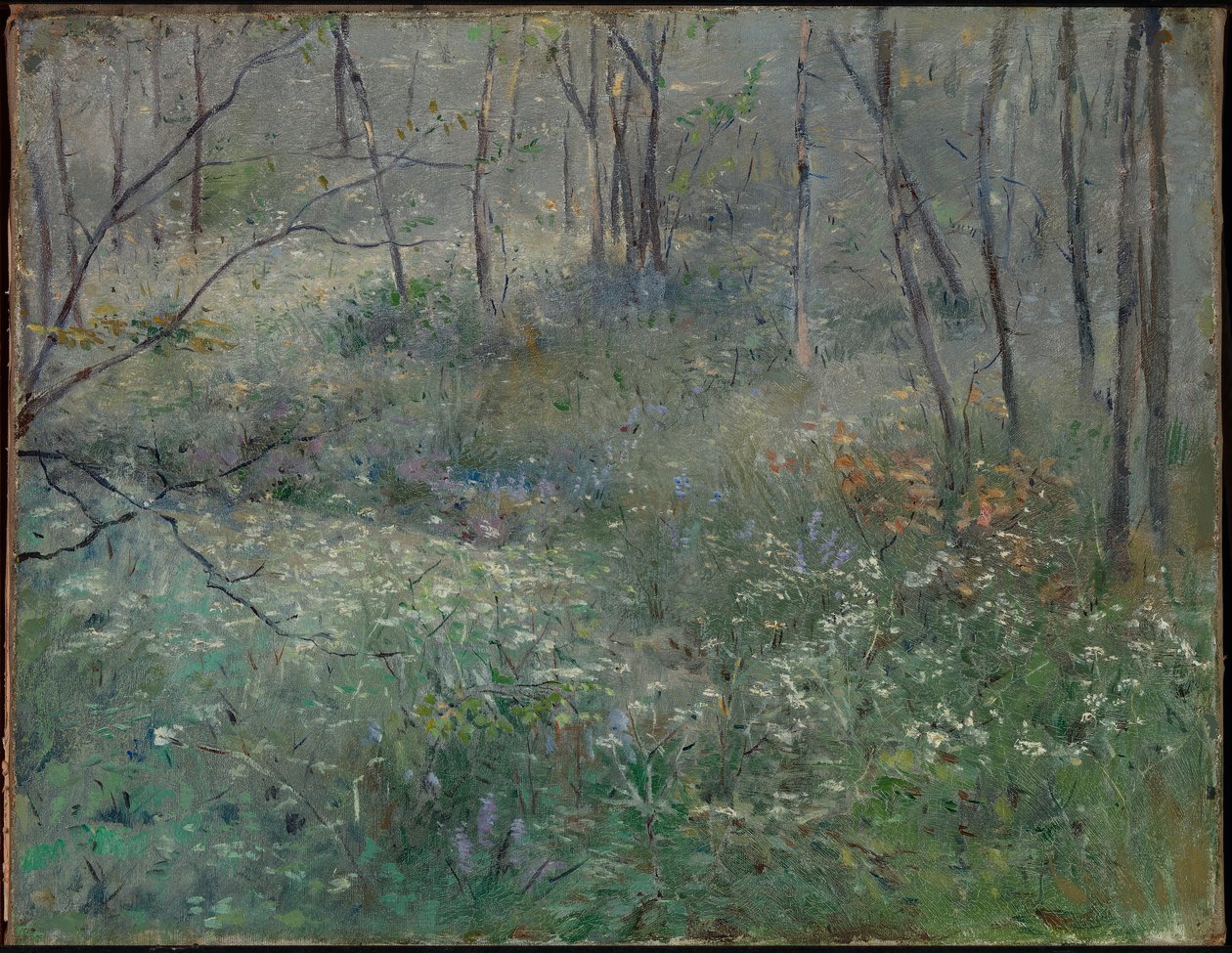 Wilde Petersilie von Sarah Paxton Ball Dodson