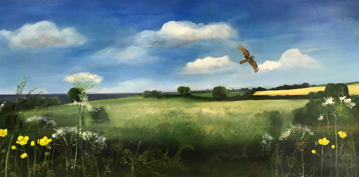 Bussard, 2022 von Sarah Thompson Engels
