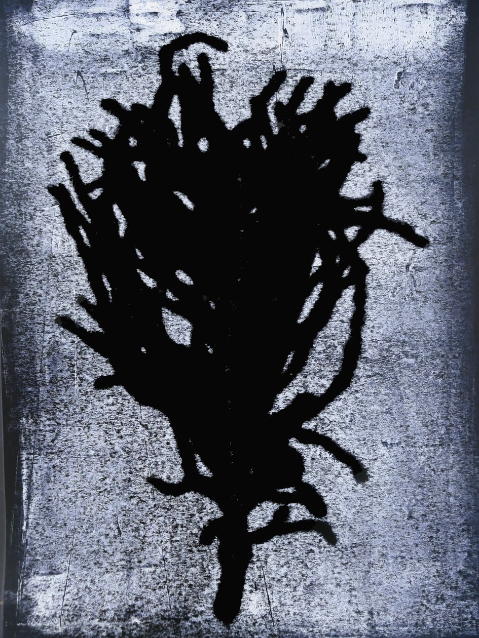 Schwarzer Farn von Sarah Thompson Engels