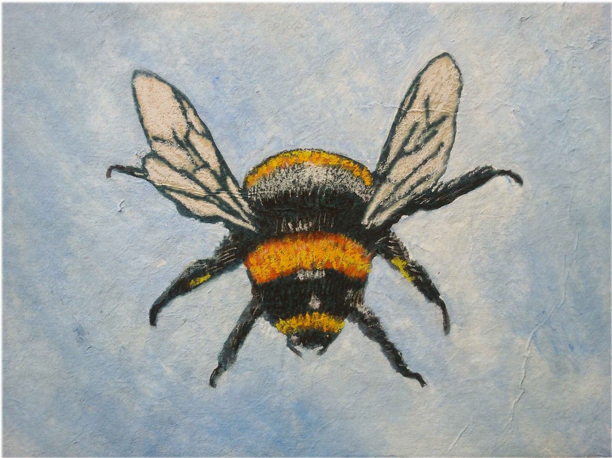 Hummel, 2015 von Sarah Thompson Engels