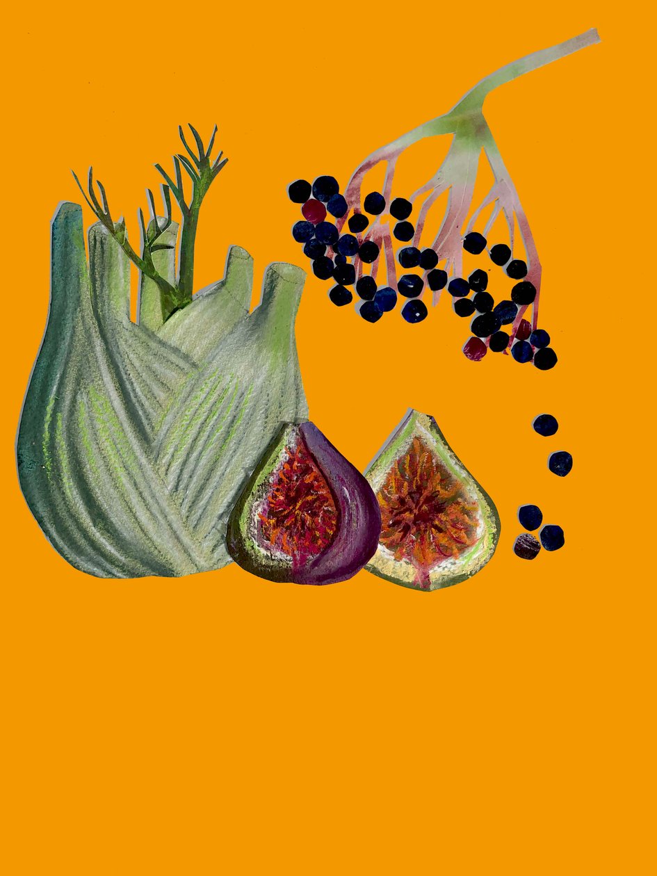 Obst & Gemüse von Sarah Thompson Engels