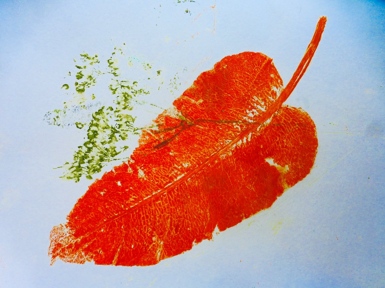 Orangenes Blatt von Sarah Thompson Engels