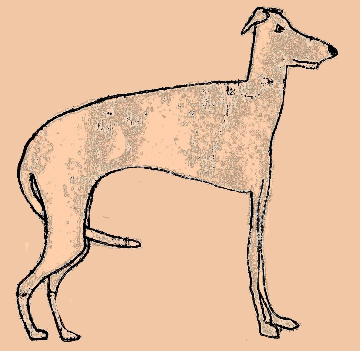 Dünner Hund von Sarah Thompson Engels
