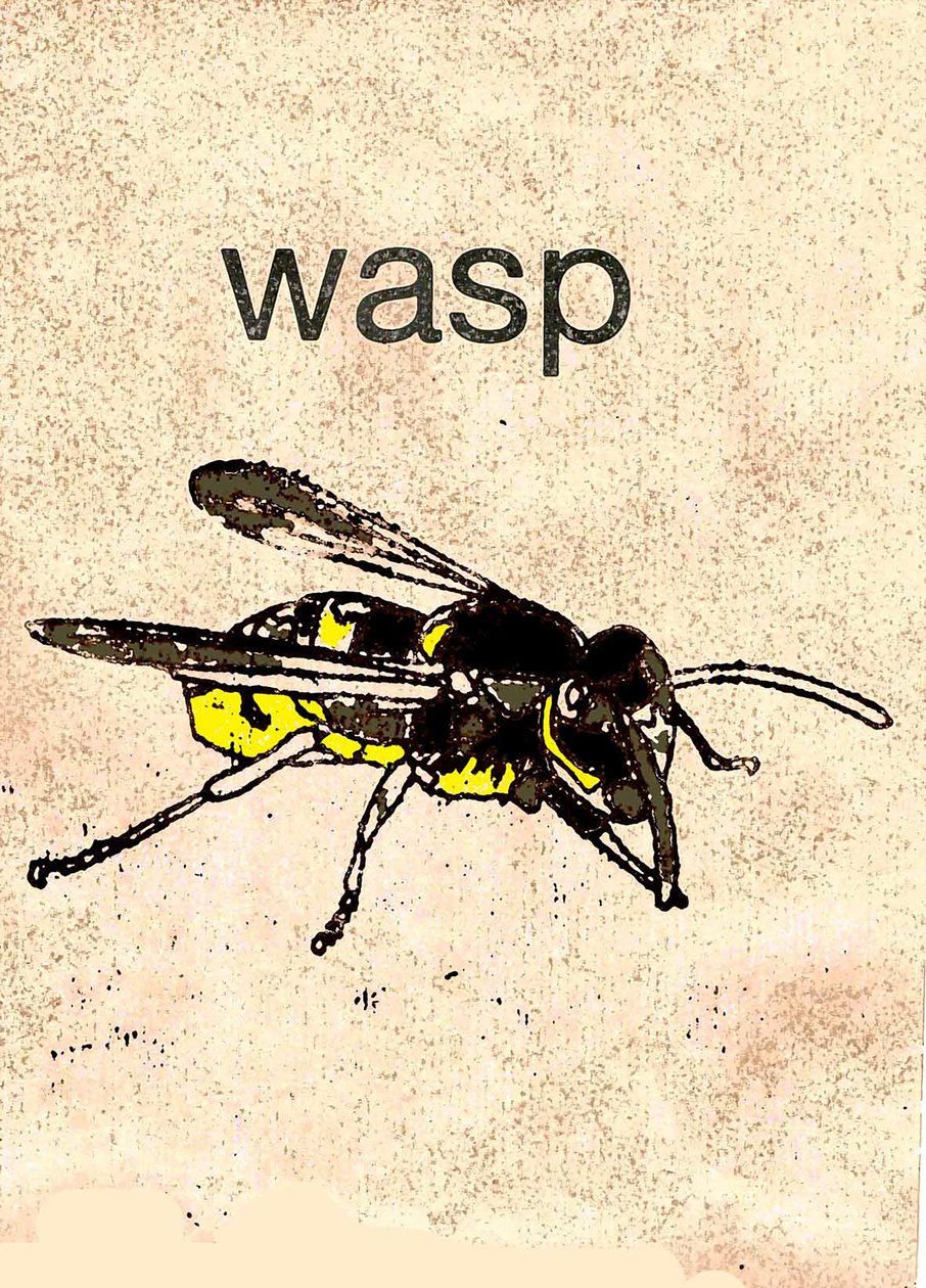 Wespe, 2014 von Sarah Thompson Engels