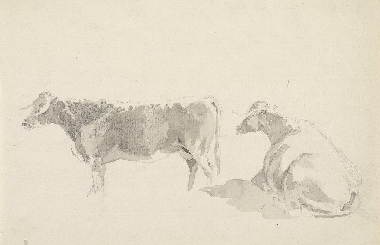 Studien von Rindern von Sawrey Gilpin