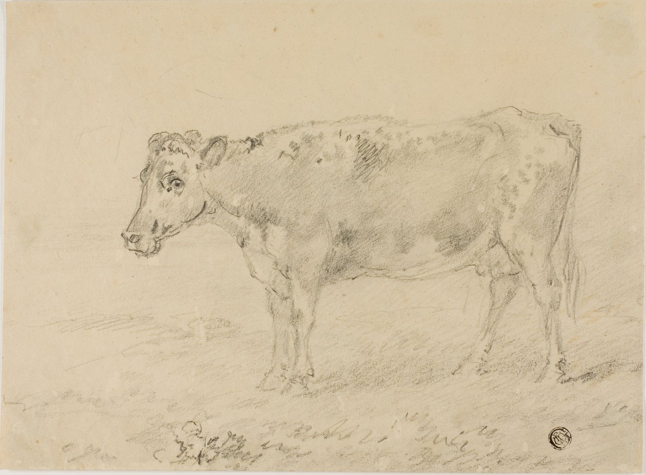 Kuh von Sawrey Gilpin