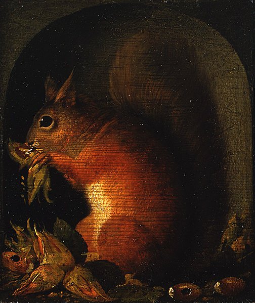 Rotes Eichhörnchen in einer Nische mit Nüssen von School English