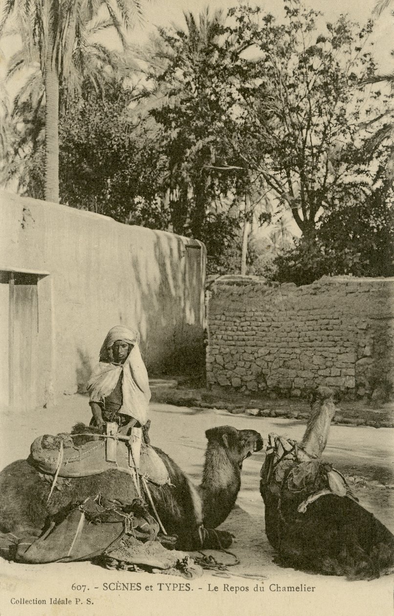 Le Repos du Chamelier, ca. 1890-1914 (s/w Foto) von School French