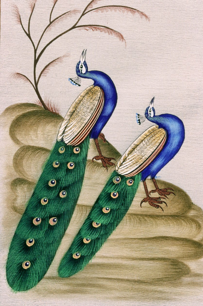 Miniaturmalerei auf Papier Pfau von School Indian