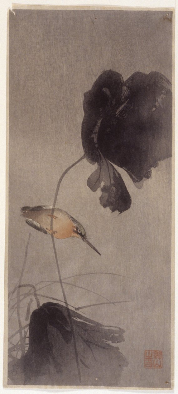 Eisvogel von School Japanese