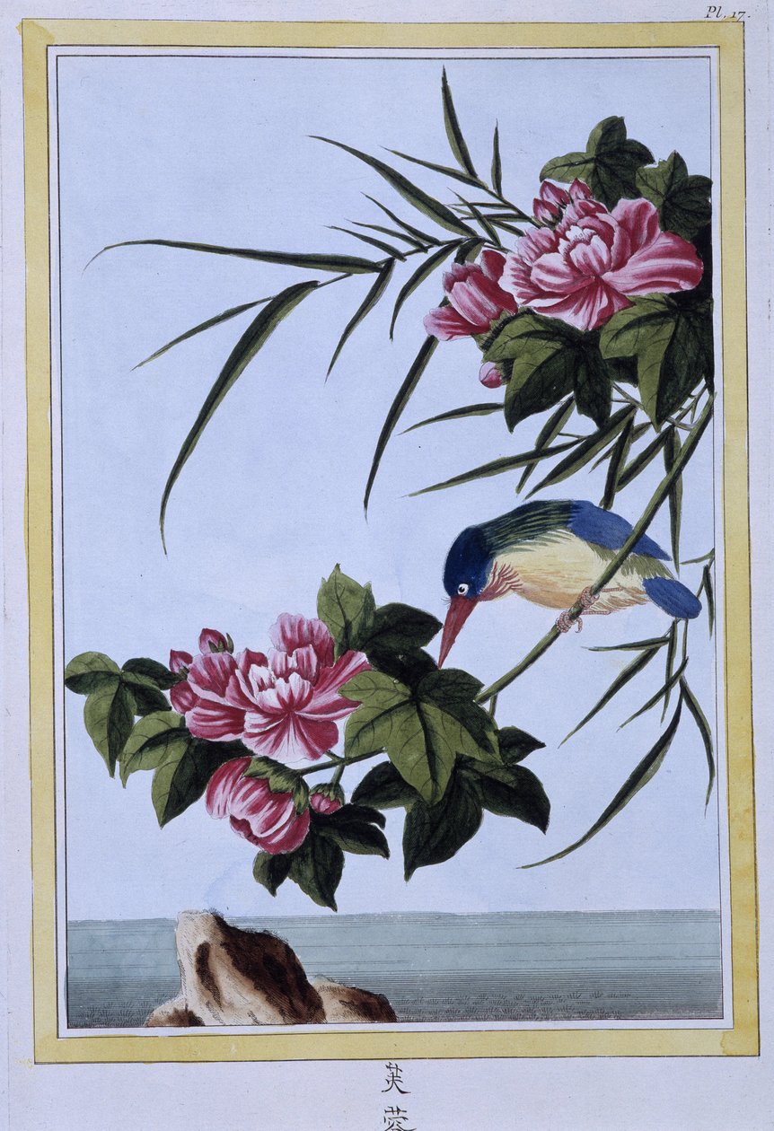 Eisvogel - Japanischer Druck von Japanese School