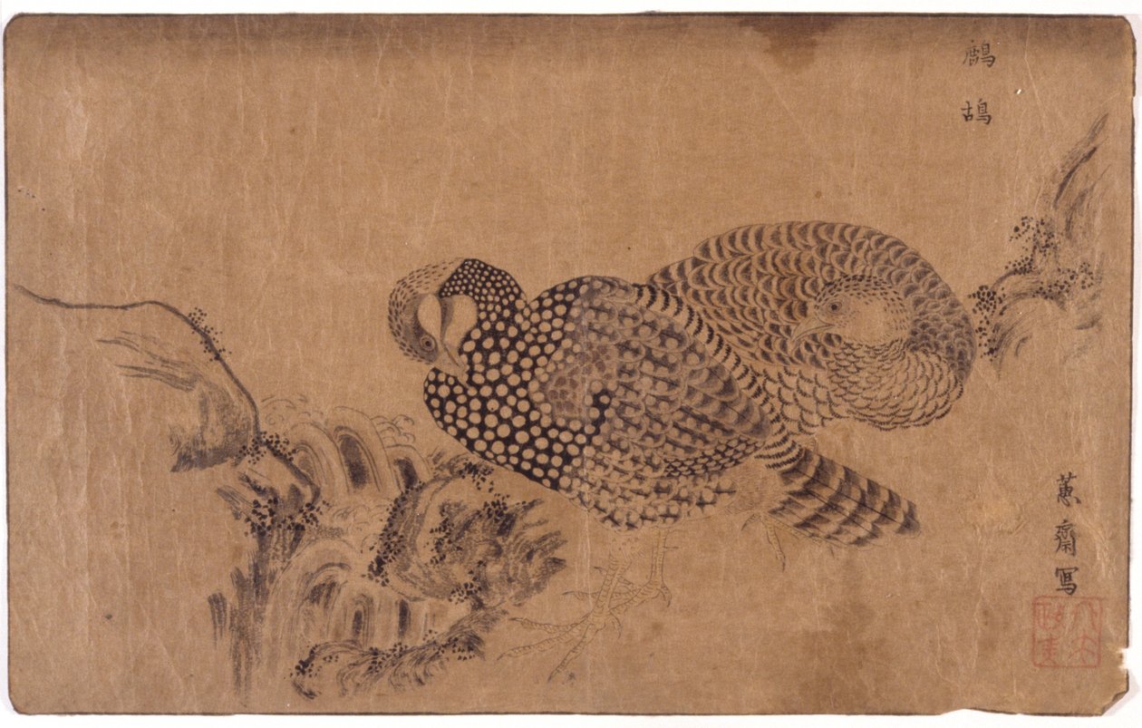 Zwei Vögel von School Japanese