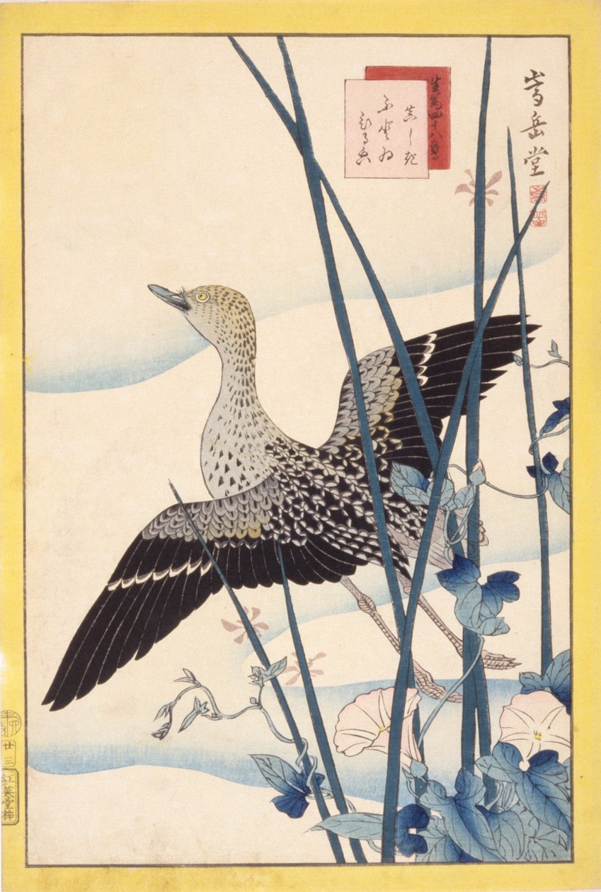 Wildente von School Japanese