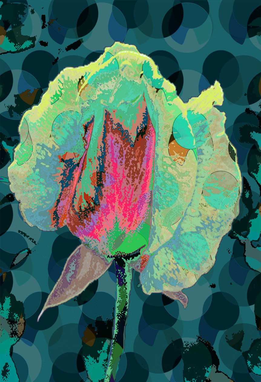 Teerose 4 (digital) von Scott J. Davis